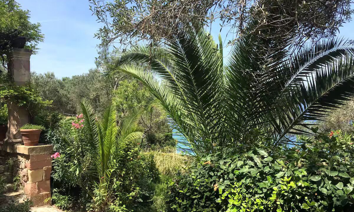 Photo of Outdoor in Bademli