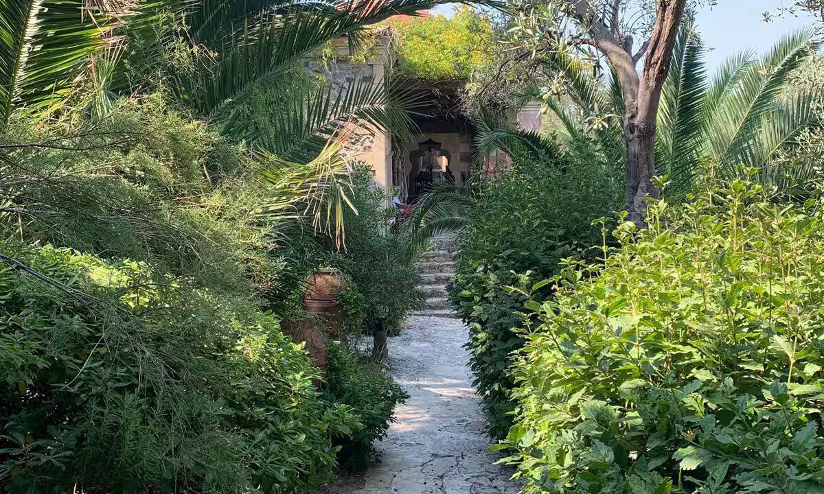 Photo of Outdoor in Bademli
