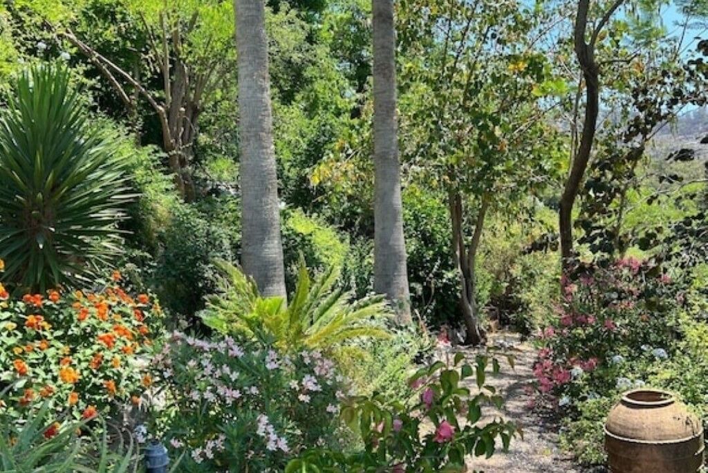 Photo of Outdoor in Hisaronu