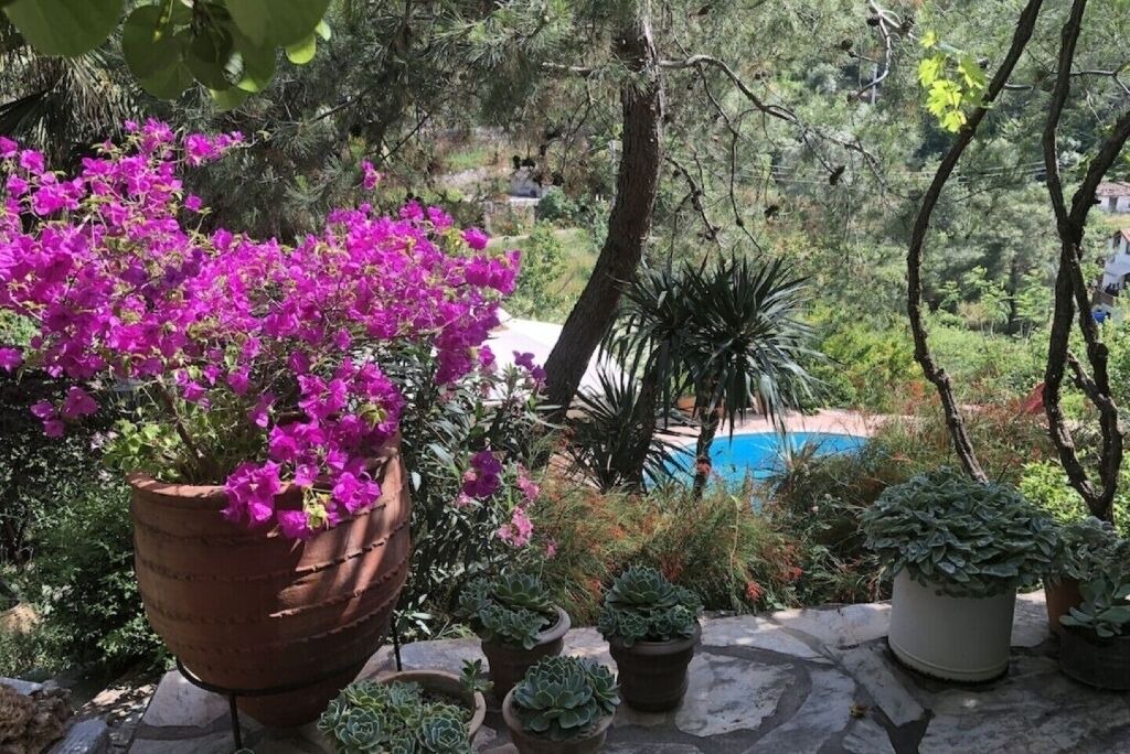 Photo of Outdoor in Hisaronu
