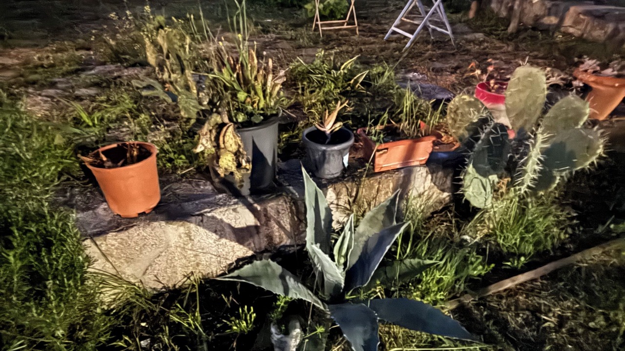 Photo of Outdoor in Balabanlı