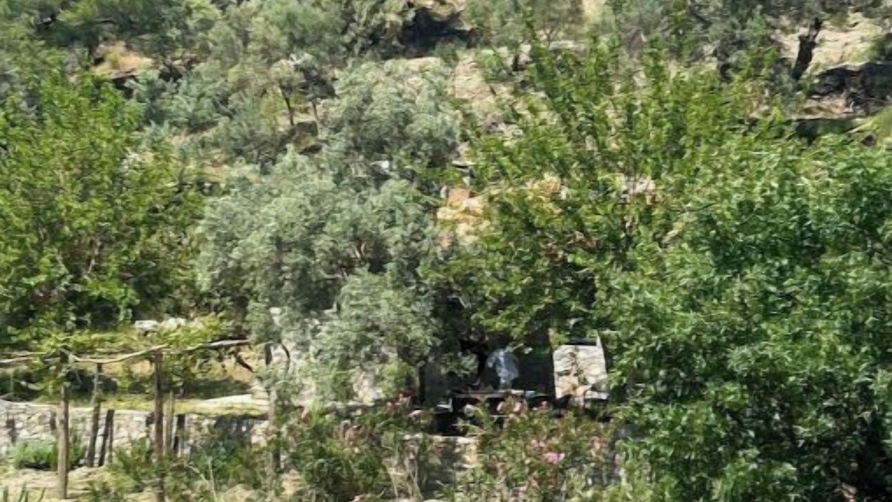 Photo of Outdoor in Ortaca