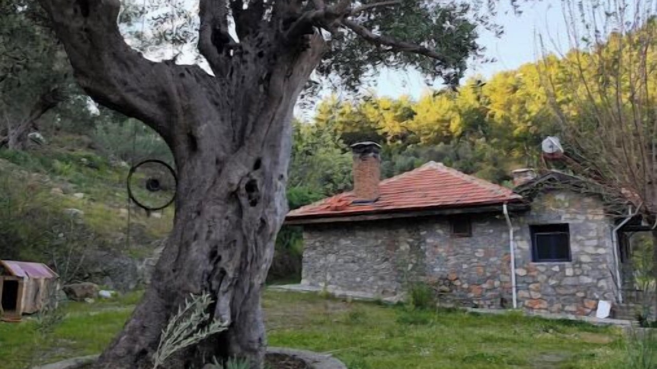 Photo of Outdoor in Ortaca