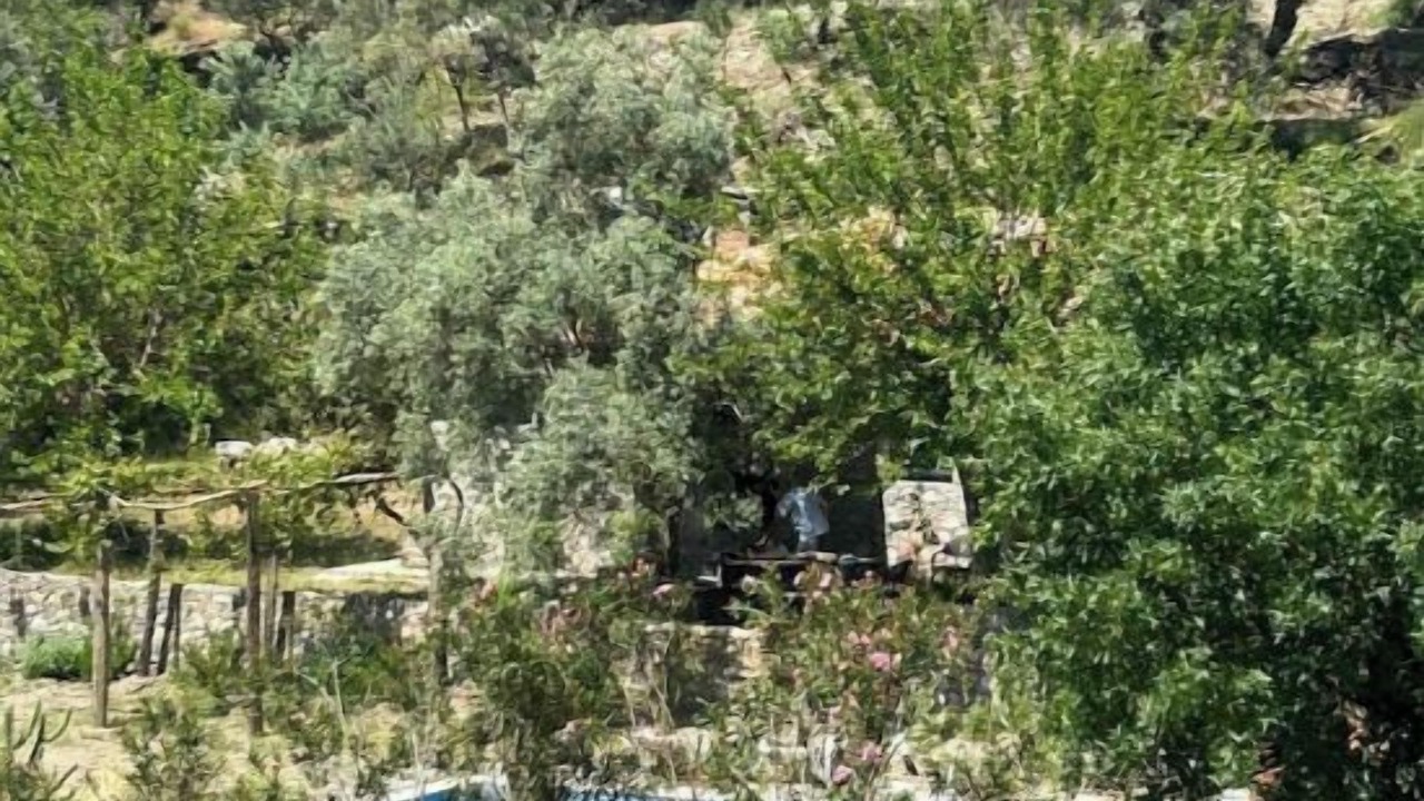 Photo of Outdoor in Ortaca