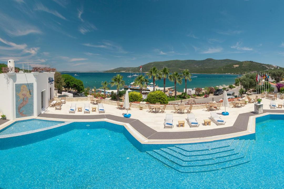 Photo of Others in Torba