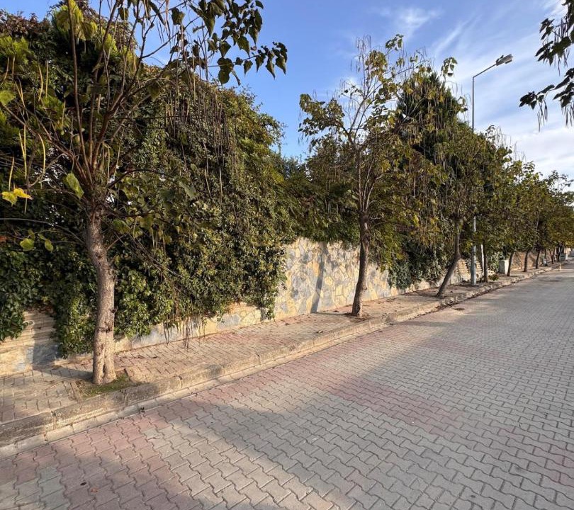 Photo of Others in Buyukcekmece