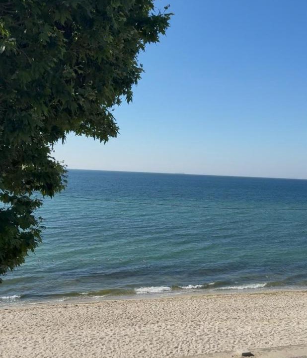 Photo of Others in Silivri