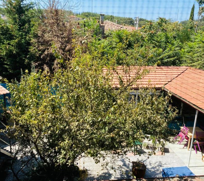 Photo of Others in Camlık