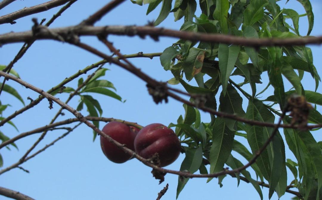 Photo of Outdoor in Bayindir