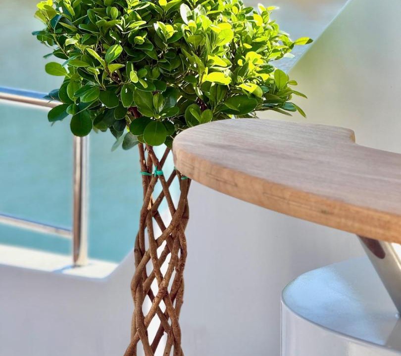 Photo of Patio Balcony in Cesme