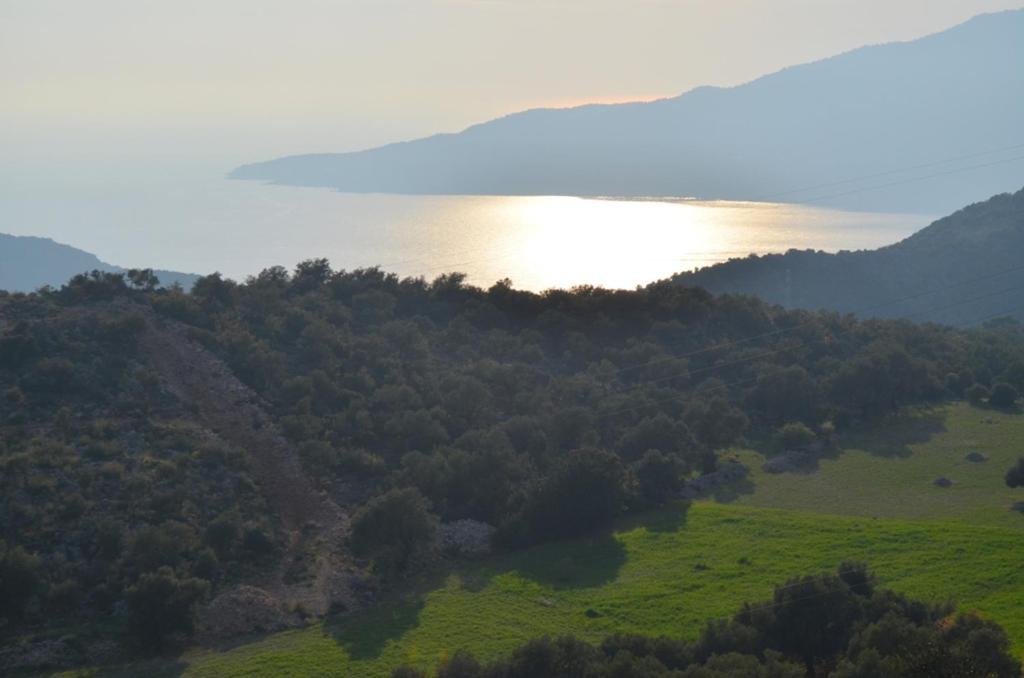 Photo of Others in Kas