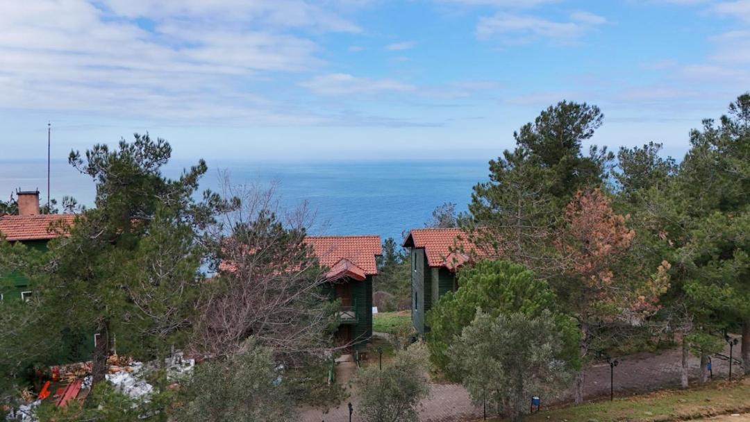 Photo of Others in Amasra