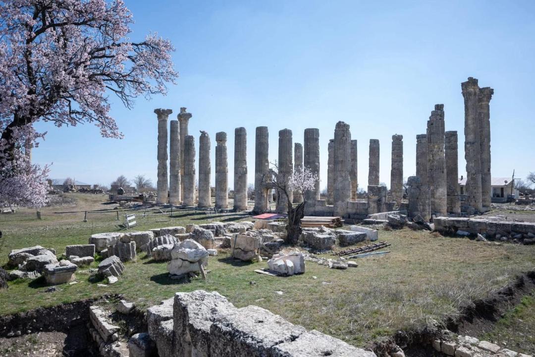 Photo of Others in Artikli