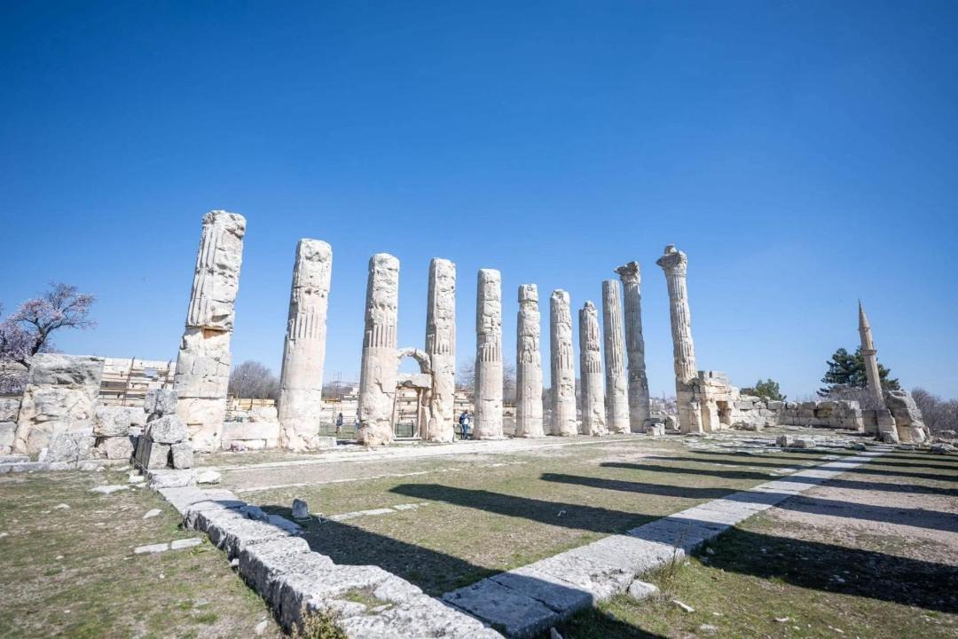 Photo of Others in Artikli