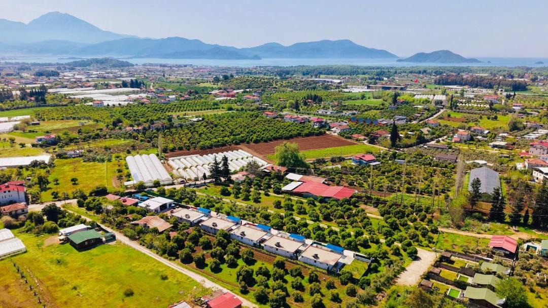 Photo of Others in Fethiye