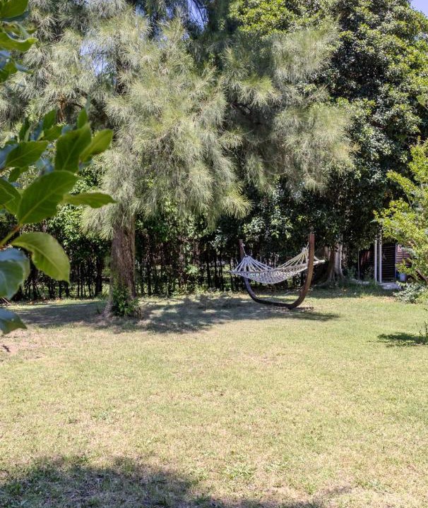 Photo of Others in Dalyan