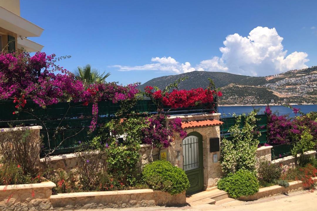 Photo of Others in Kalkan
