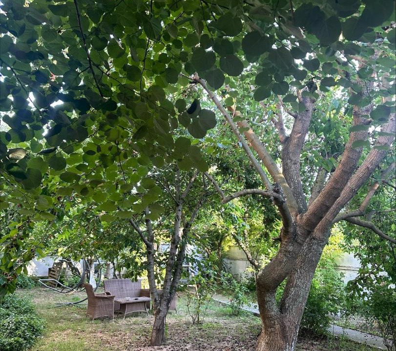 Photo of Others in Karaagac Mahallesi