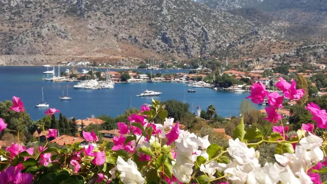 Photo of Others in Selimiye
