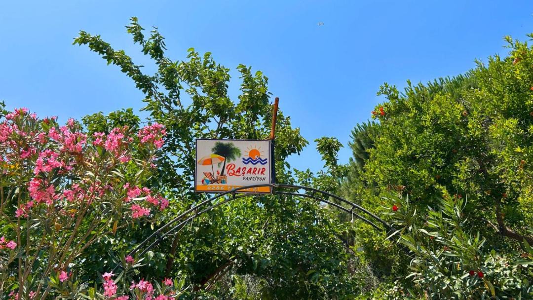 Photo of Outdoor in Ayvacik