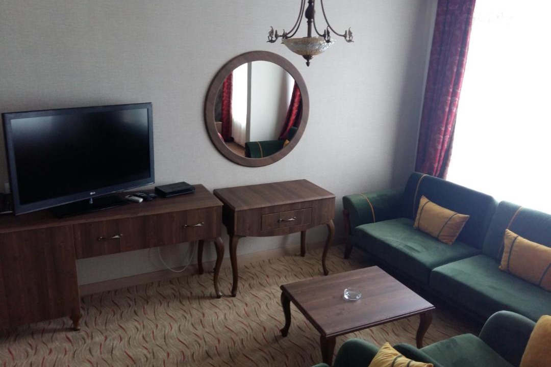 Photo of Livingroom in Hopa