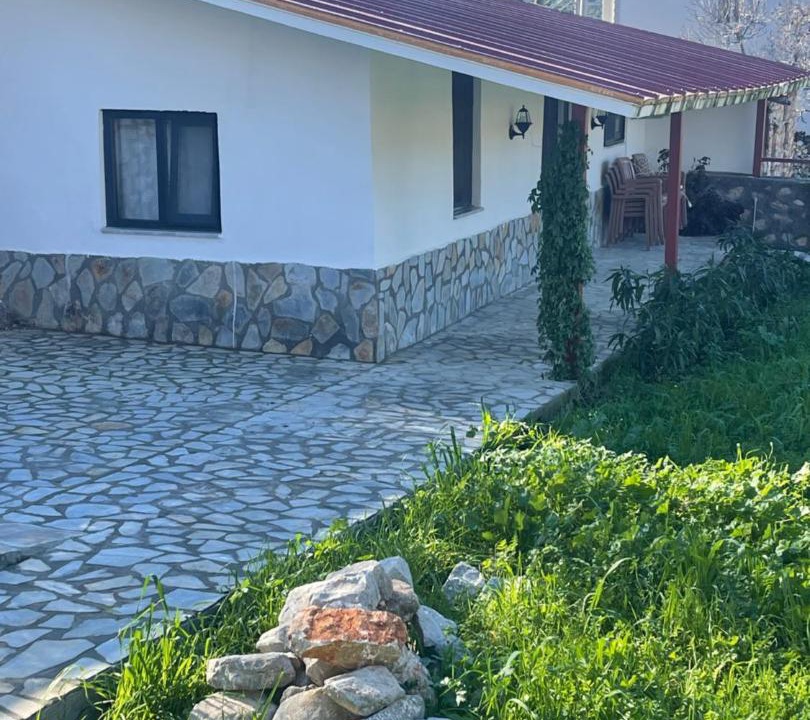 Photo of Others in Avlana