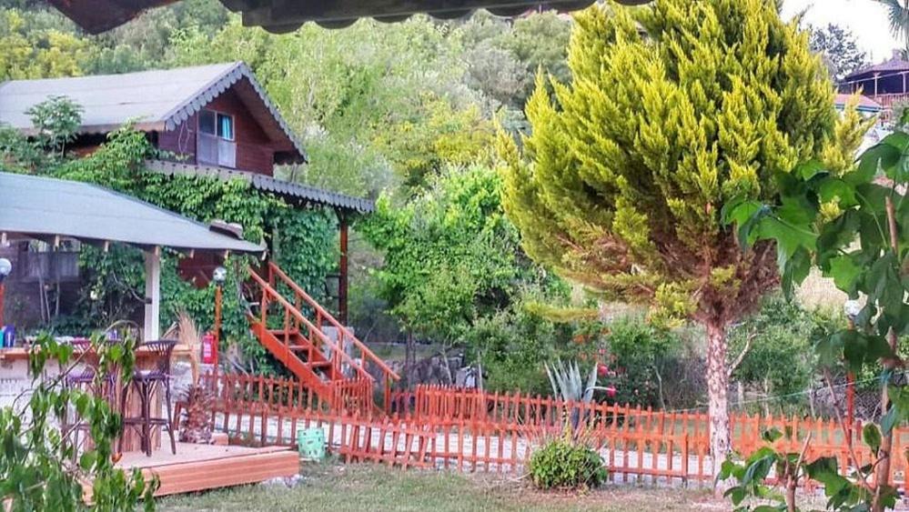 Photo of Others in Olympos
