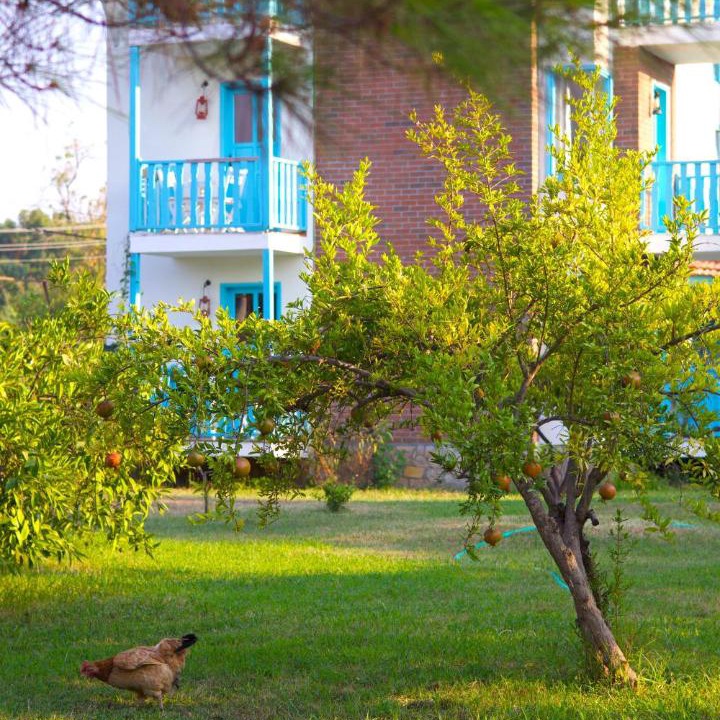 Photo of Others in Yaniklar