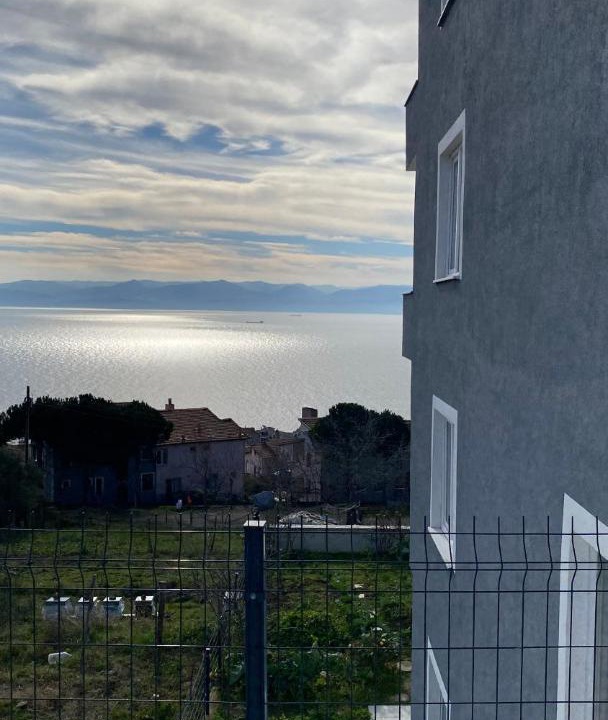 Photo of Others in Sinop