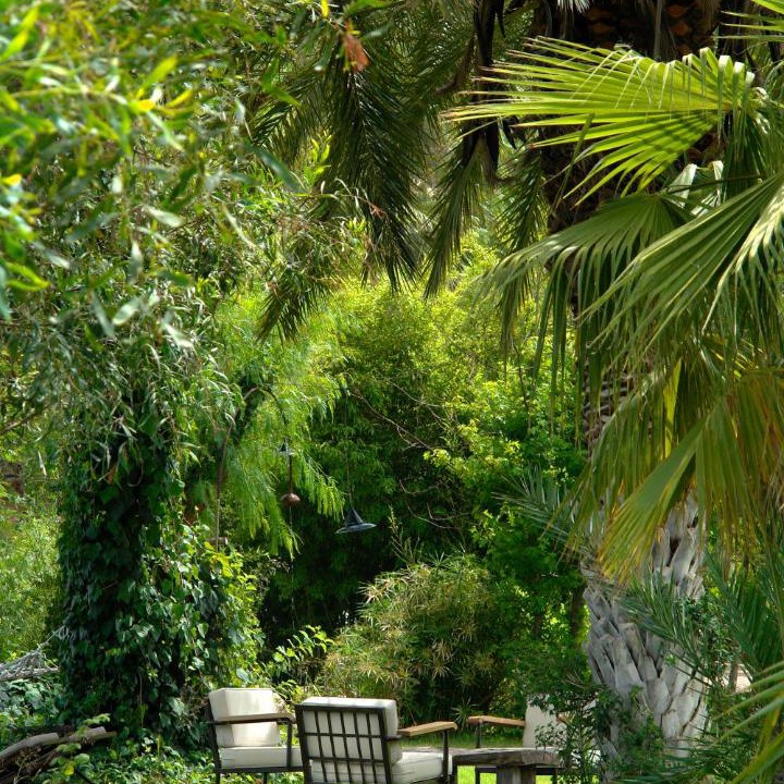 Photo of Others in Olympos