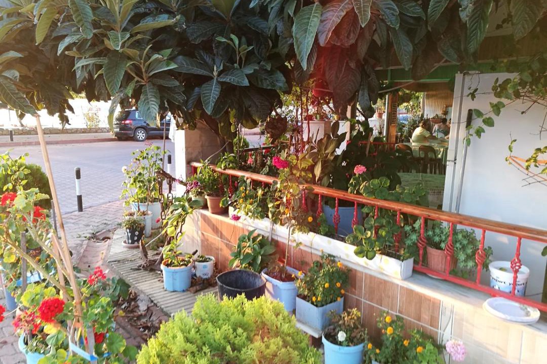 Photo of Others in Cide