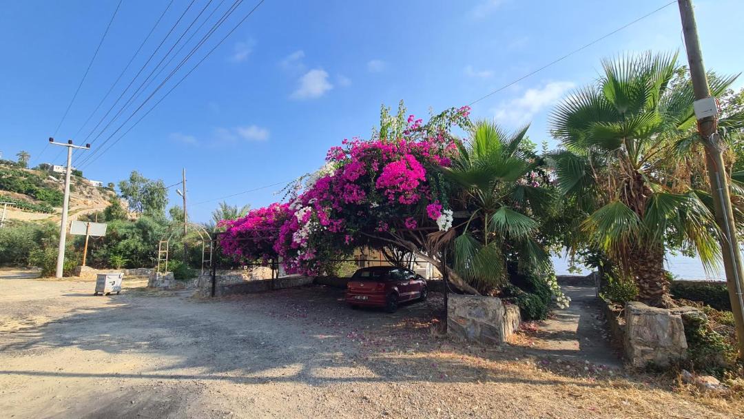Photo of Others in Seki