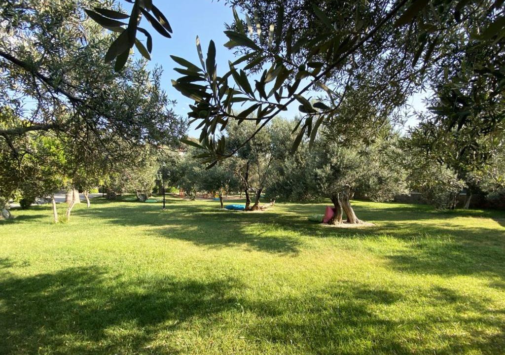 Photo of Others in Ayvacik