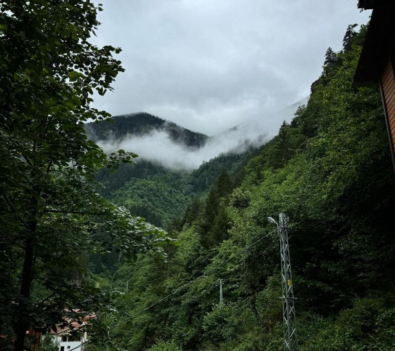 Photo of Others in Uzungol