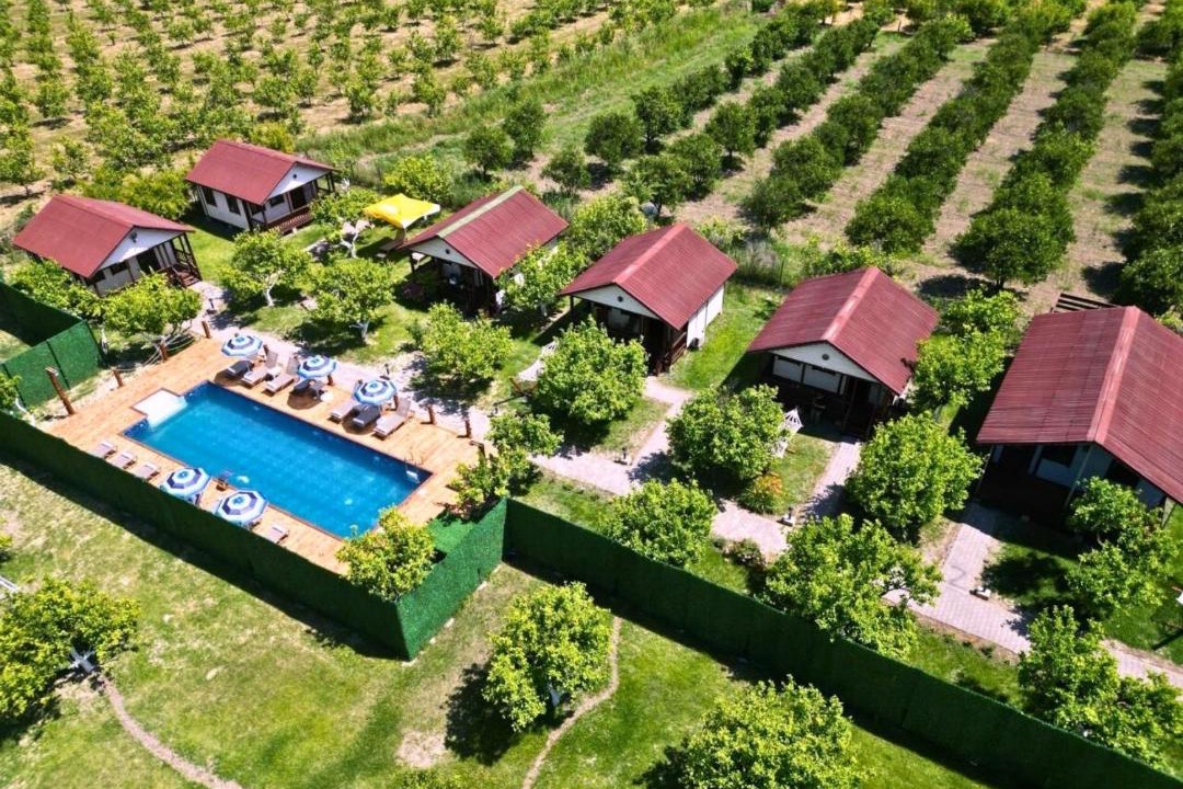 Photo of Others in Dalyan