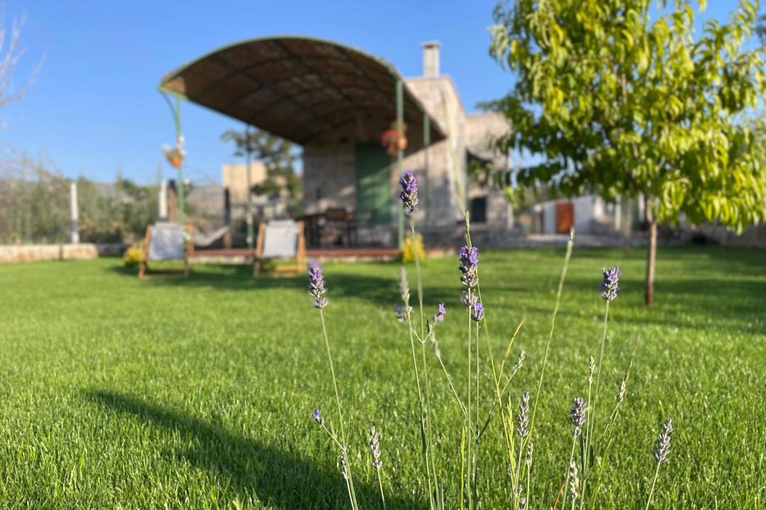 Photo of Outdoor in Urgup