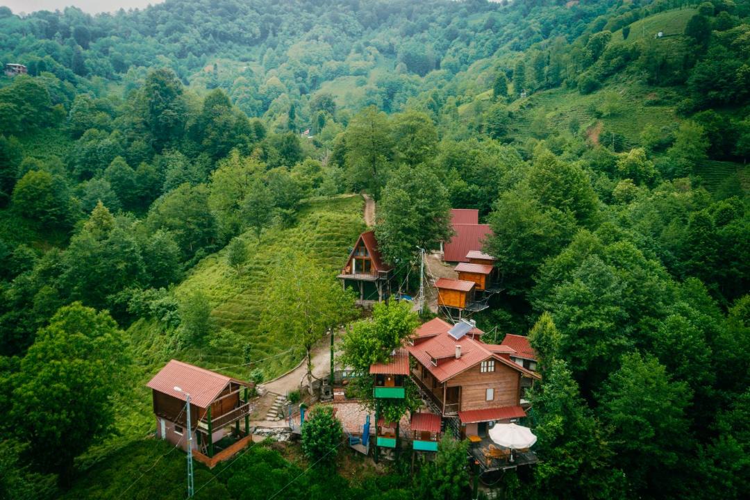 Photo of Others in Pazar