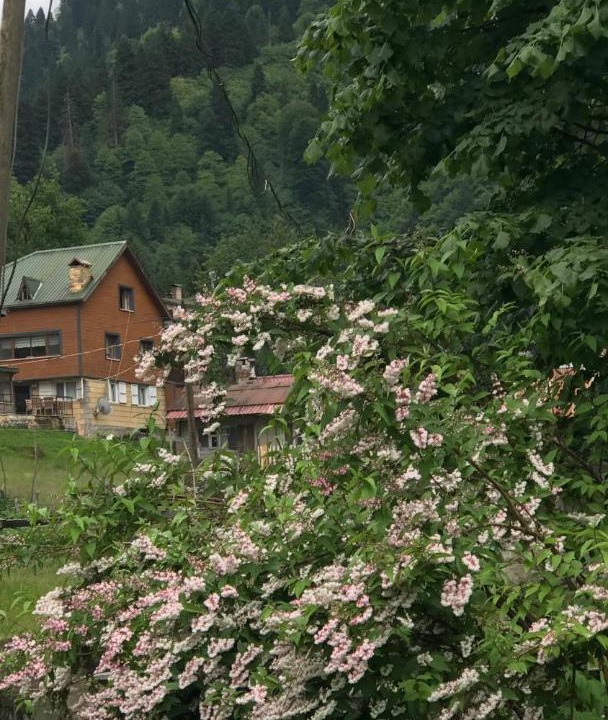 Photo of Others in Ayder Yaylasi