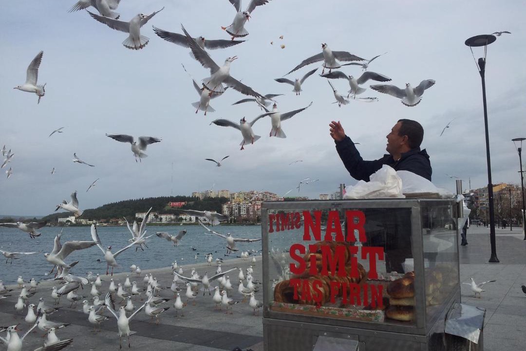 Photo of Others in Canakkale