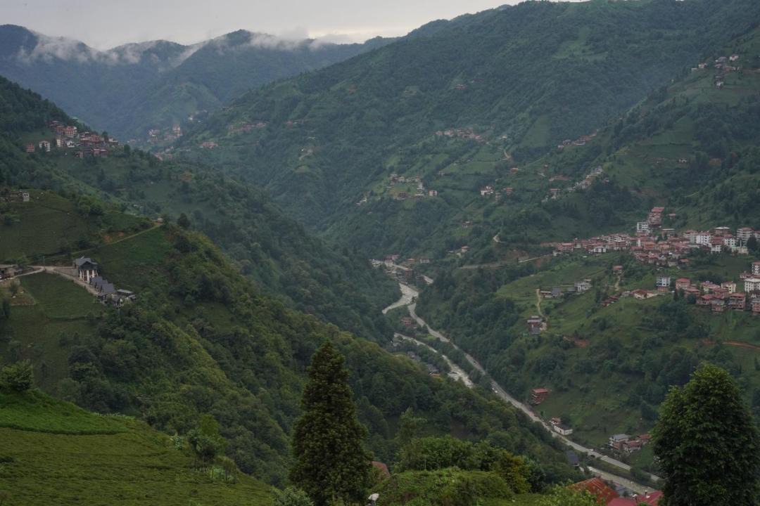 Photo of Others in Ayder