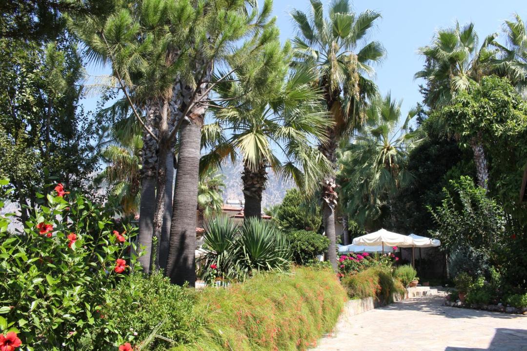 Photo of Others in Gocek
