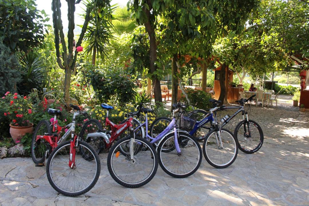 Photo of Others in Gocek