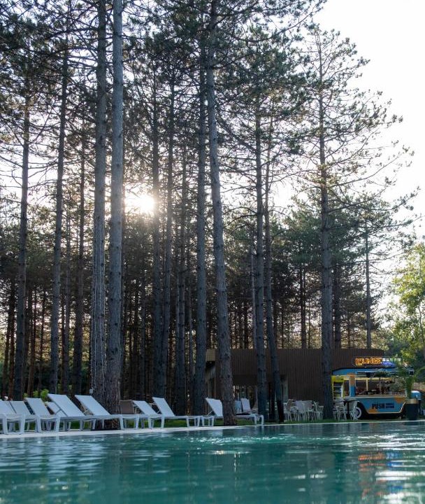 Photo of Others in Sapanca