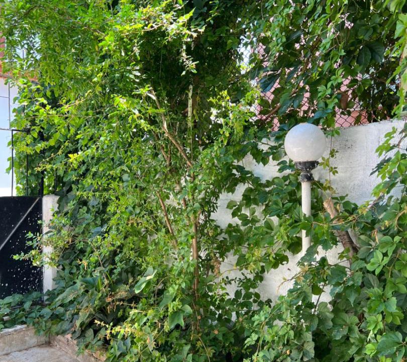 Photo of Outdoor in Kaleici