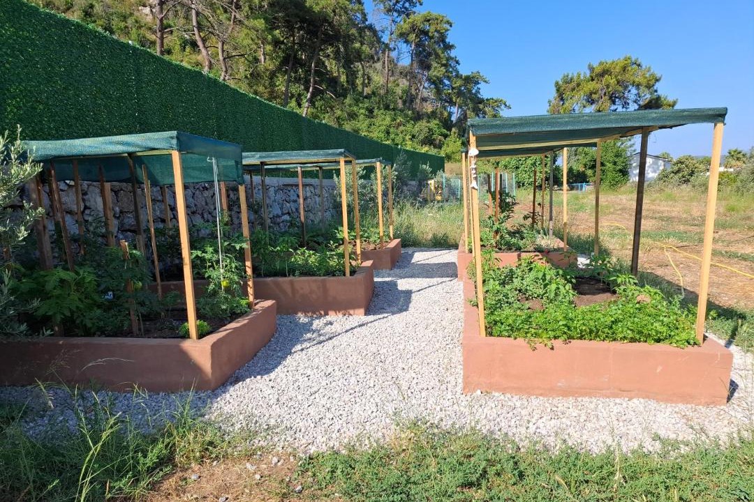 Photo of Outdoor in Avlana