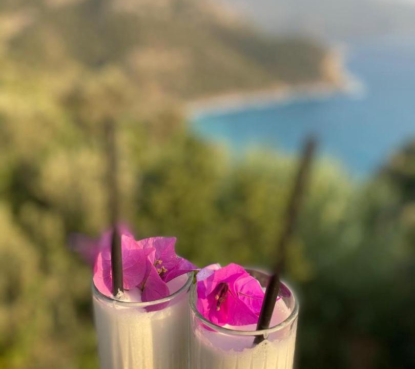Photo of Others in Kabak Valley
