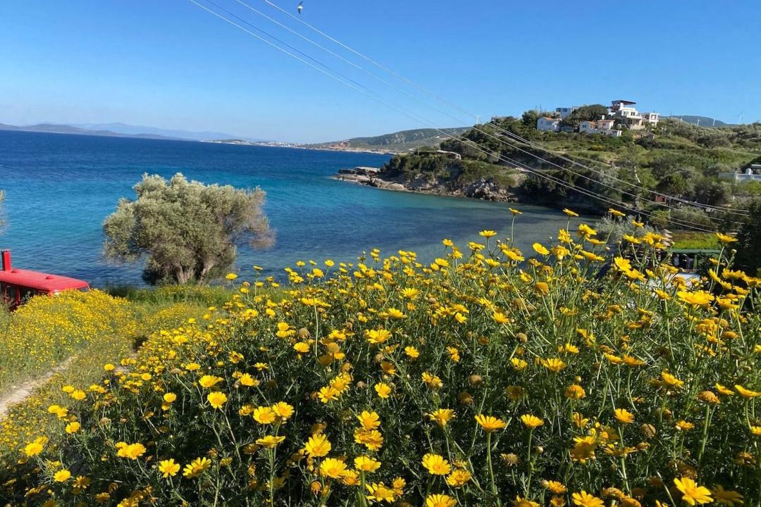 Photo of Others in Karaburun