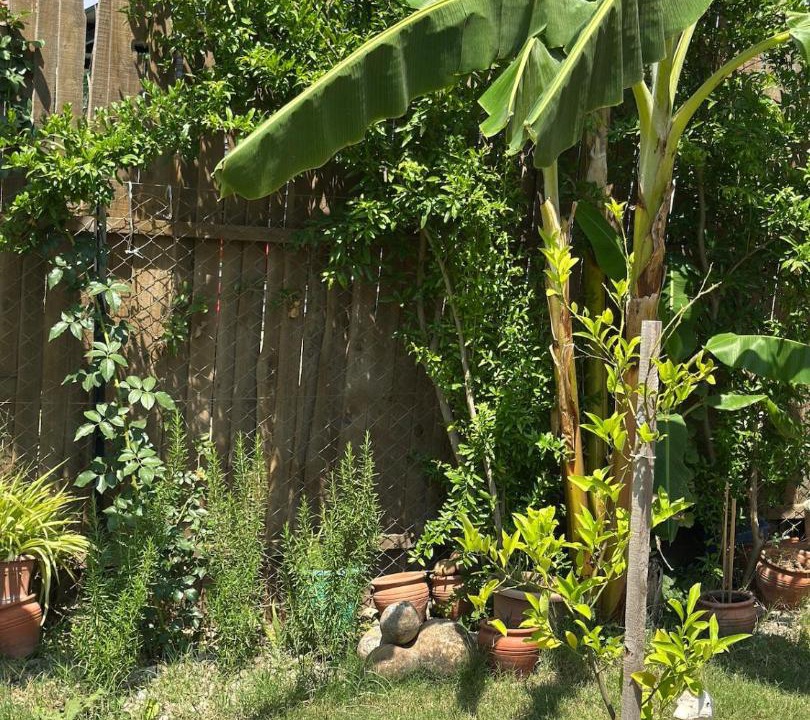 Photo of Others in Yaniklar