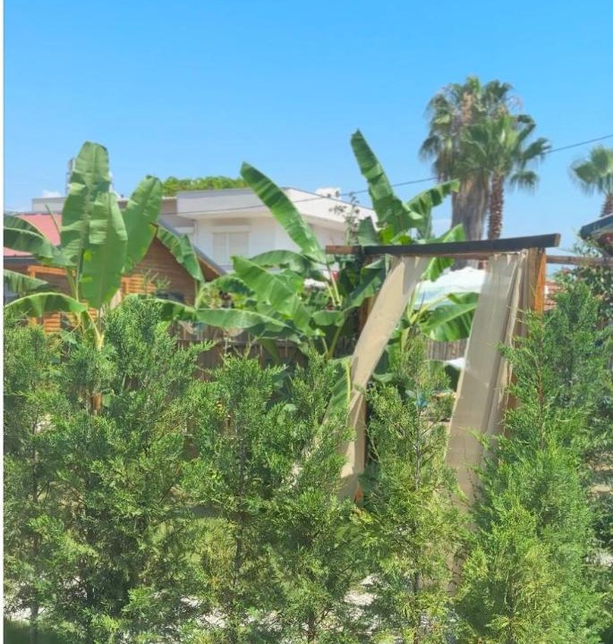 Photo of Others in Yaniklar