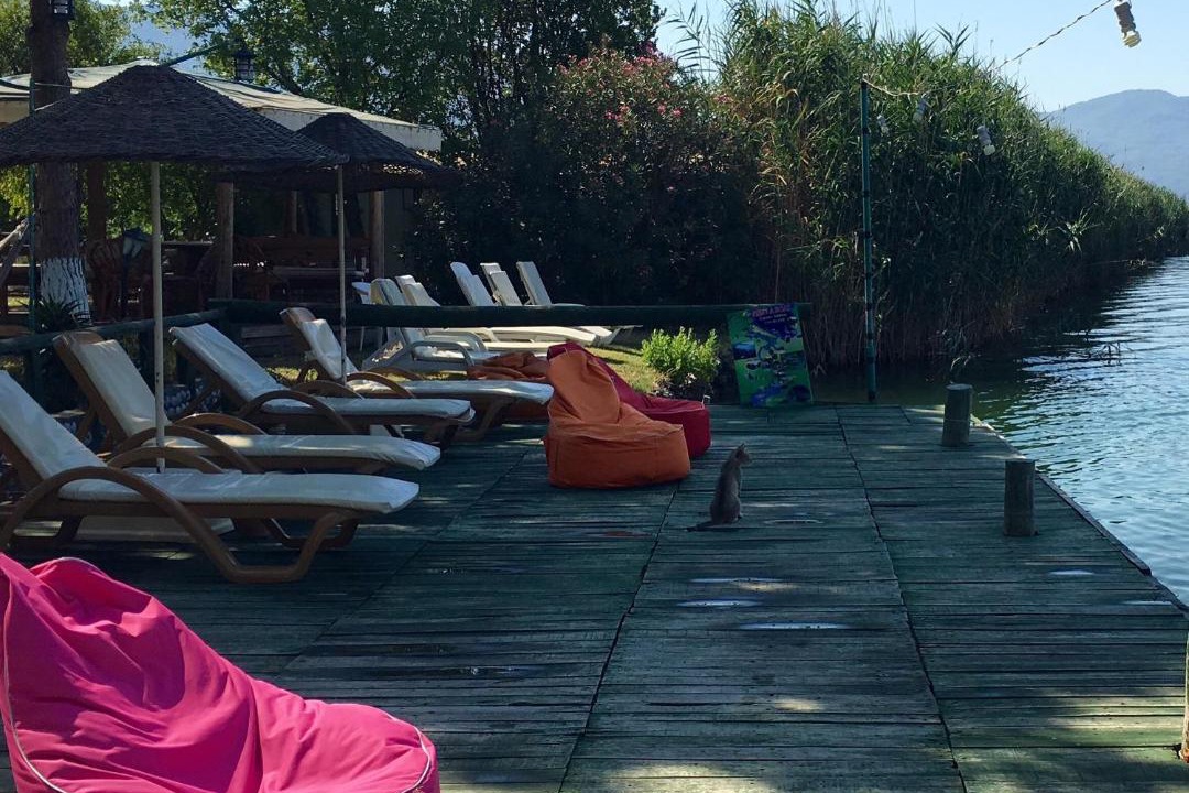 Photo of Others in Dalyan